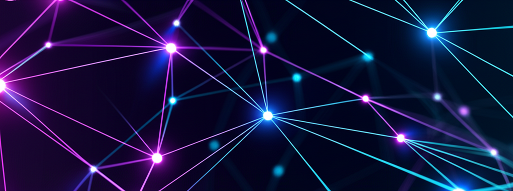 NOEM Network Visualization